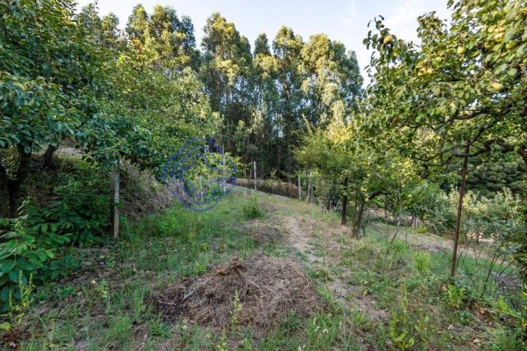 Terreno para Venda em Baguim do Monte (Rio Tinto) Foto 22