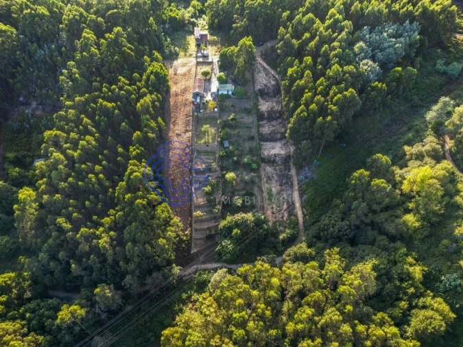 Terreno para Venda em Baguim do Monte (Rio Tinto) Foto 5