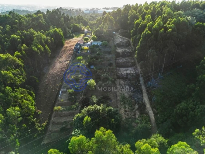 Terreno para Venda em Baguim do Monte (Rio Tinto) Foto 6