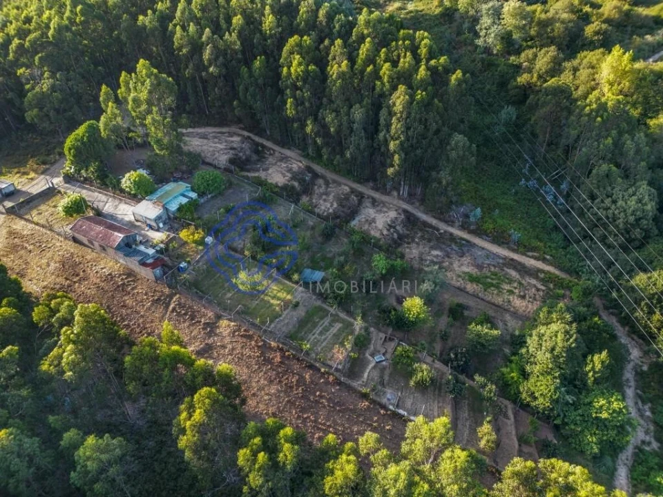 Terreno para Venda em Baguim do Monte (Rio Tinto) Foto 9