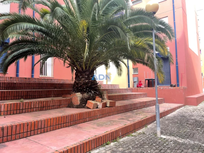 Negócio para Venda em Caparica e Trafaria Foto 14