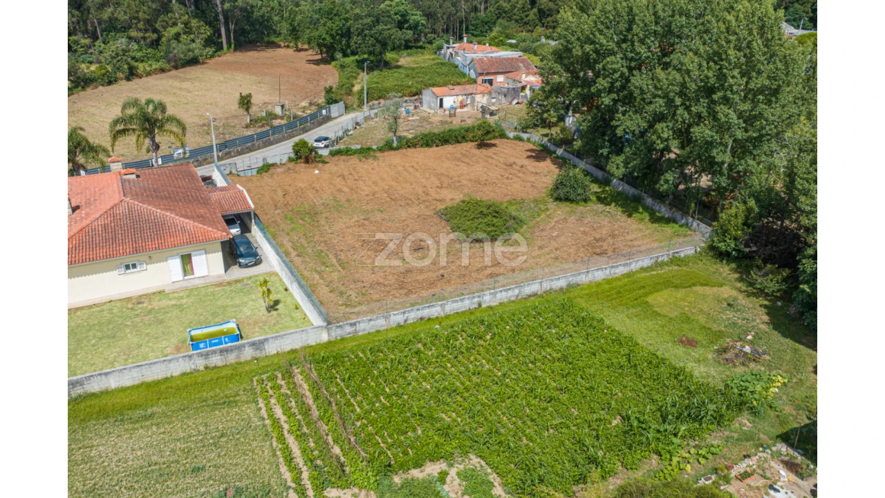 Terreno para Venda em Grijó e Sermonde Foto 6