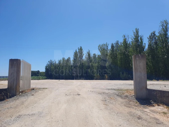 Terreno para Arrendamento em Castanheira do Ribatejo e Cachoeiras Foto 2