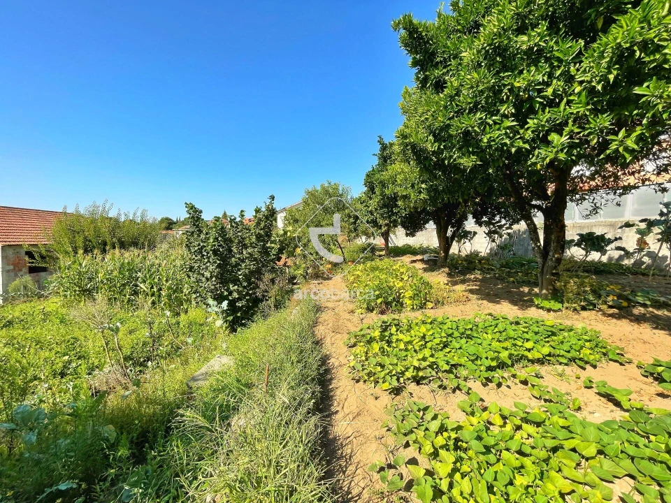 Moradia T4 para Venda em Couto Foto 31