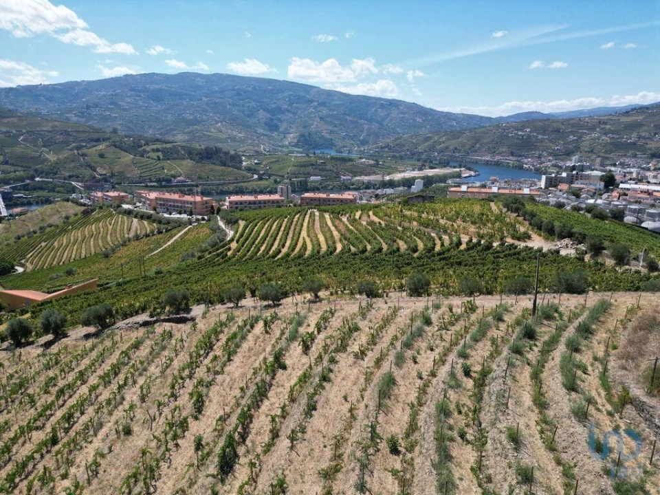 Moradia T4 para Venda em Peso da Régua e Godim Foto 7