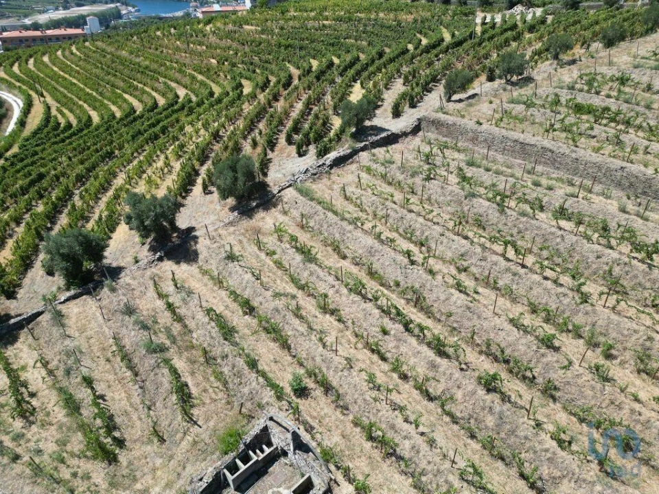 Moradia T4 para Venda em Peso da Régua e Godim Foto 8