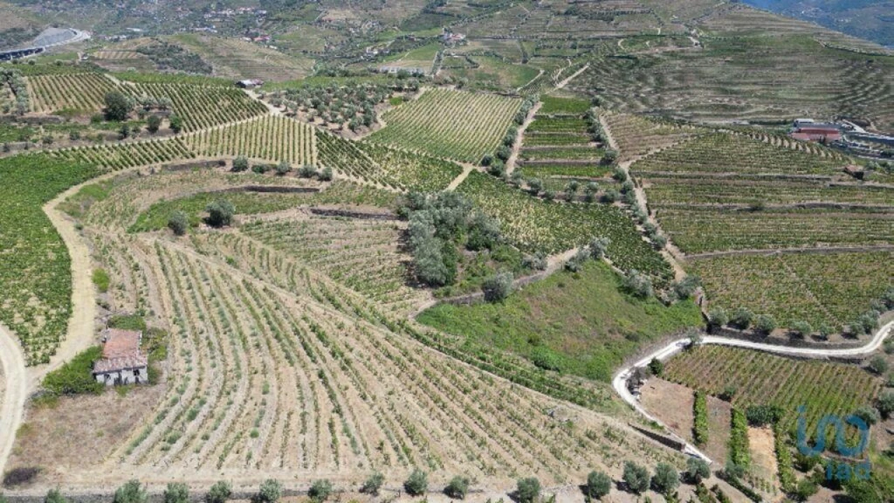 Moradia T4 para Venda em Peso da Régua e Godim Foto 10