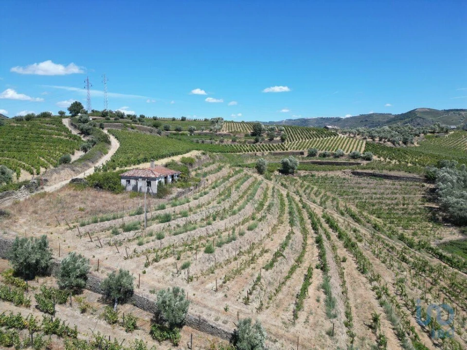 Moradia T4 para Venda em Peso da Régua e Godim Foto 6