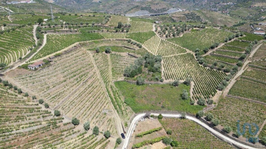 Moradia T4 para Venda em Peso da Régua e Godim Foto 11