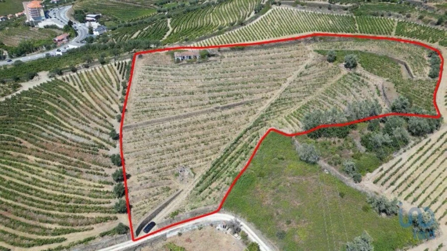 Moradia T4 para Venda em Peso da Régua e Godim Foto 4