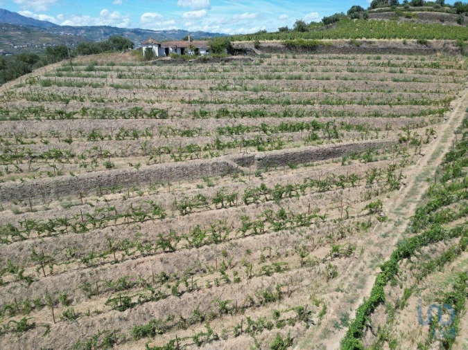 Moradia T4 para Venda em Peso da Régua e Godim Foto 9