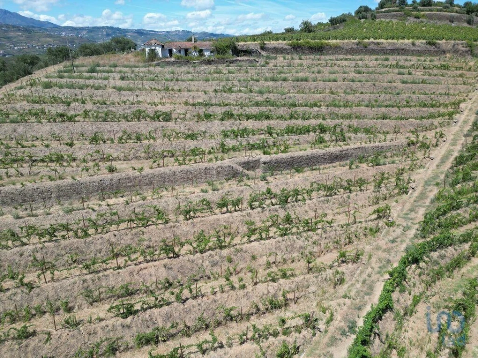 Moradia T4 para Venda em Peso da Régua e Godim Foto 9