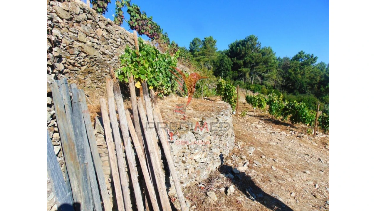 Terreno para Venda em Nogueira e Ermida Foto 8