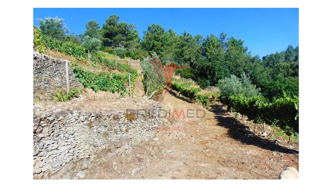 Terreno para Venda em Nogueira e Ermida Foto 19