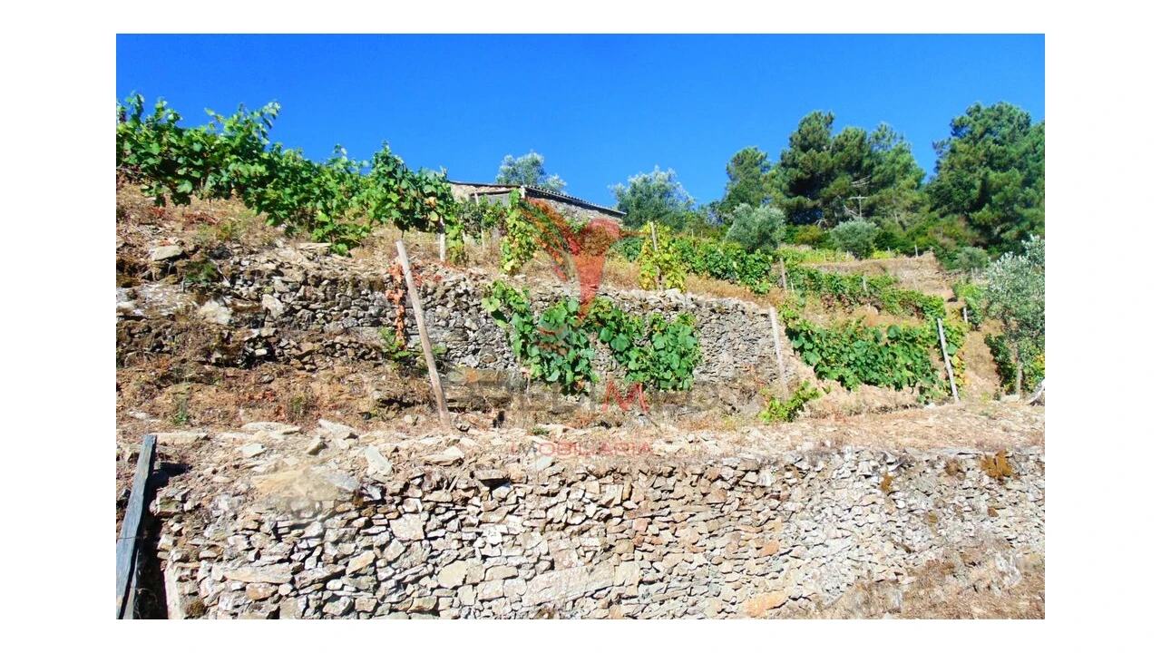 Terreno para Venda em Nogueira e Ermida Foto 18