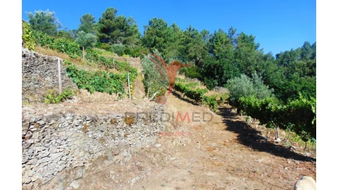 Terreno para Venda em Nogueira e Ermida