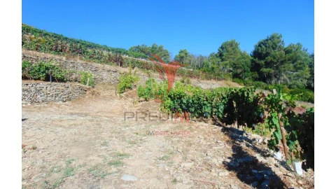 Terreno para Venda em Nogueira e Ermida