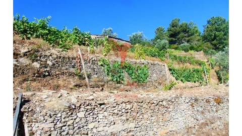 Terreno para Venda em Nogueira e Ermida