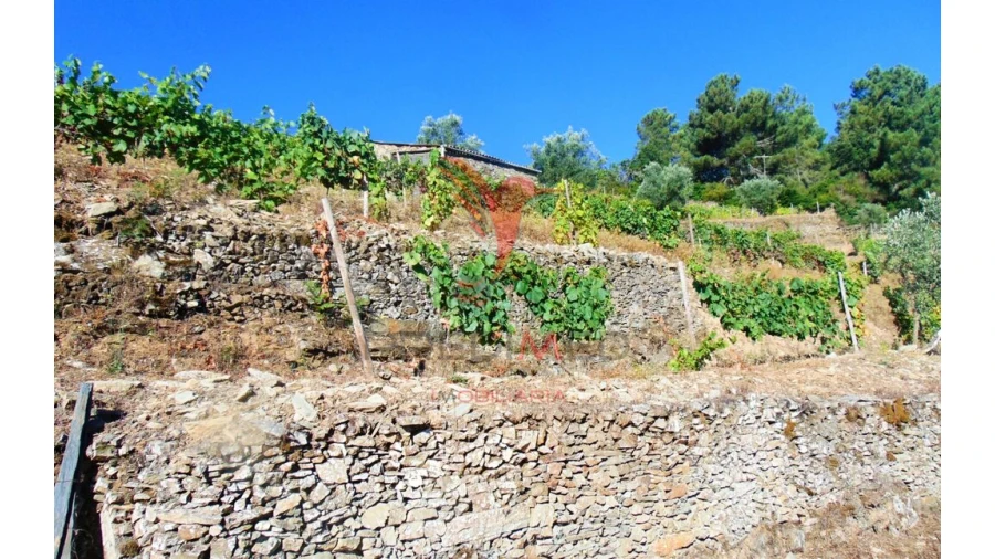 Terreno para Venda em Nogueira e Ermida Foto 18