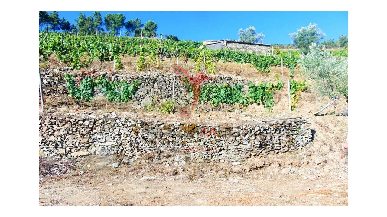 Terreno para Venda em Nogueira e Ermida Foto 20