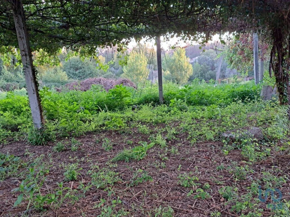 Terreno para Venda em Freiriz Foto 14