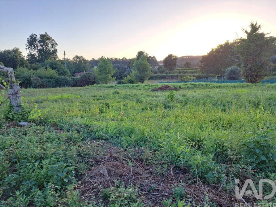 Terreno para Venda em Freiriz Foto 17