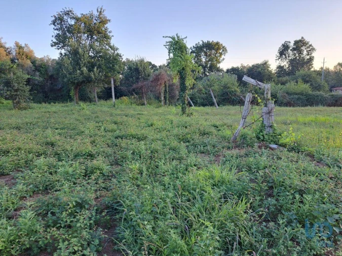 Terreno para Venda em Freiriz Foto 13