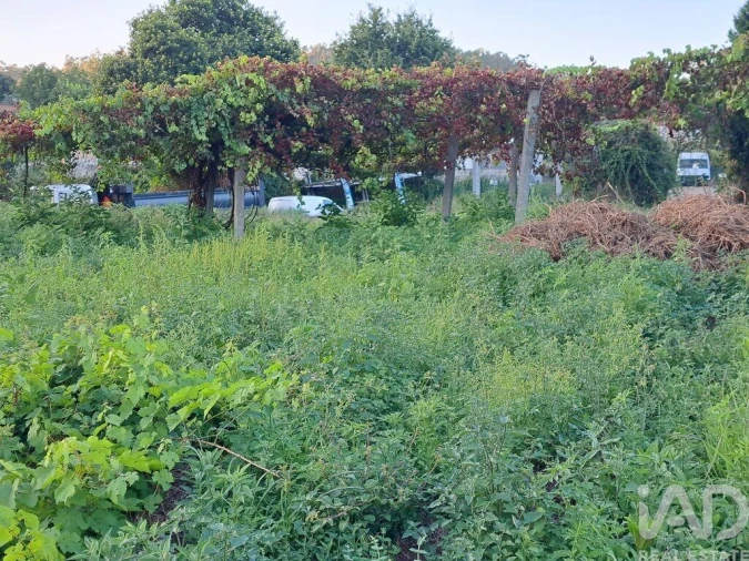 Terreno para Venda em Freiriz Foto 16