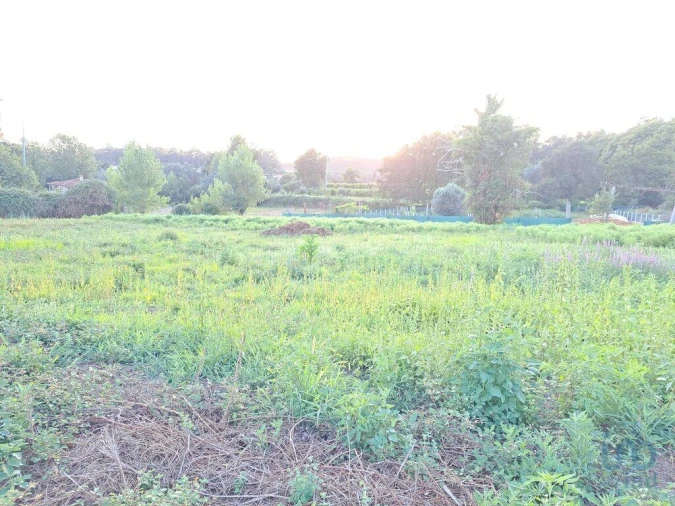 Terreno para Venda em Freiriz Foto 7
