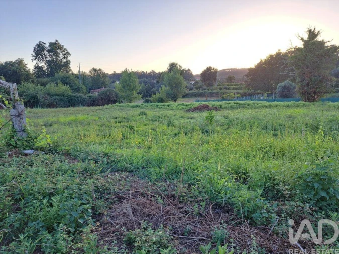 Terreno para Venda em Freiriz Foto 17