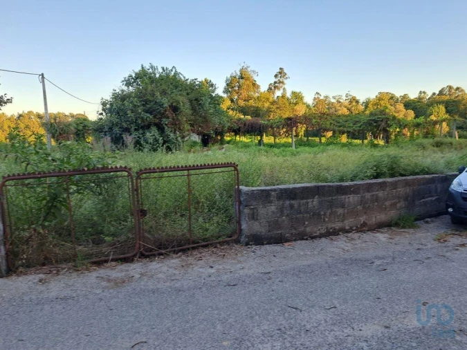 Terreno para Venda em Freiriz Foto 15