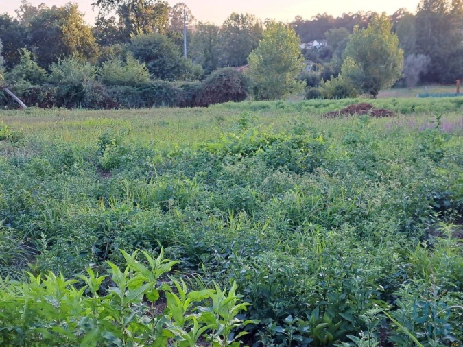 Terreno para Venda em Freiriz Foto 4