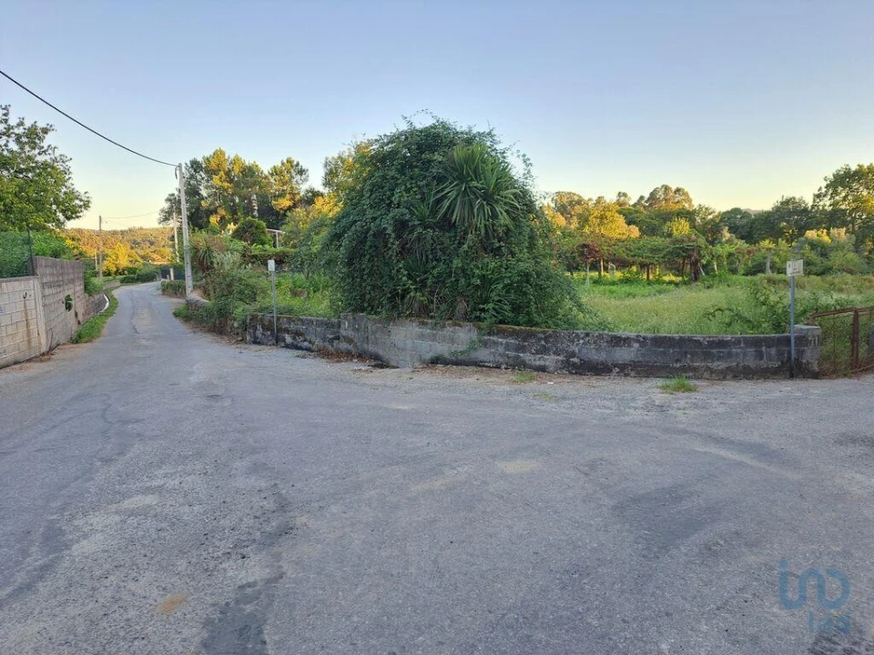 Terreno para Venda em Freiriz Foto 5