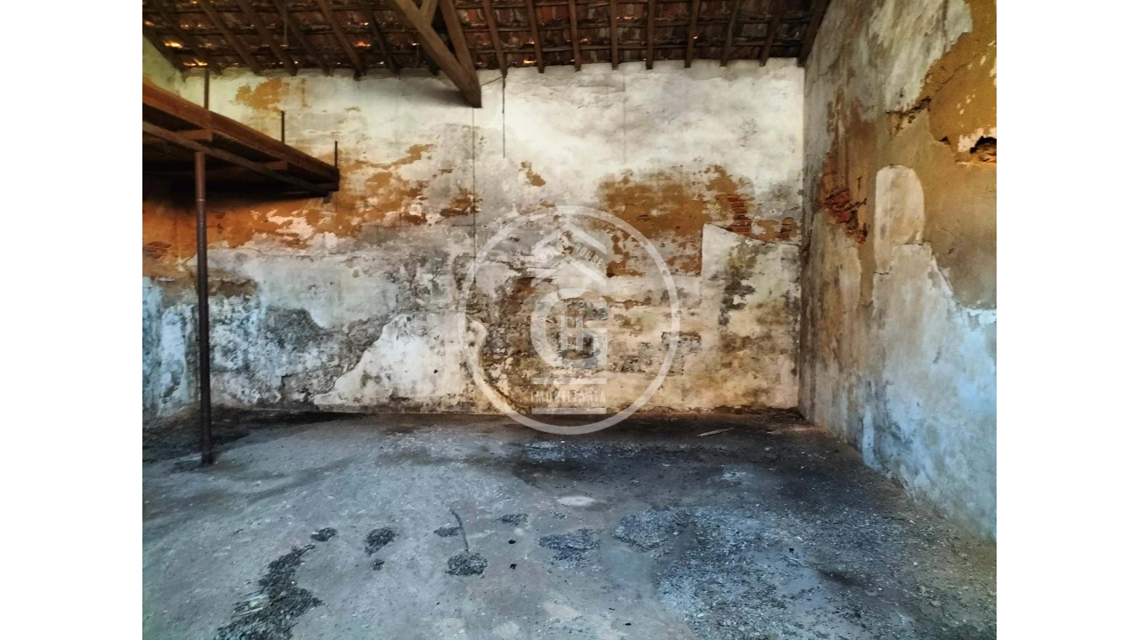 Negócio para Venda em Chamusca e Pinheiro Grande Foto 23