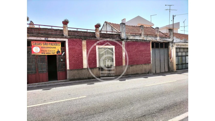 Negócio para Venda em Chamusca e Pinheiro Grande Foto 20