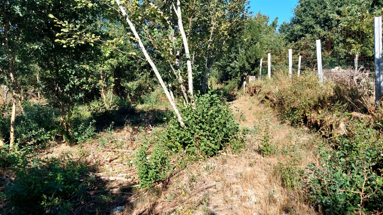 Terreno para Venda em Mangualde, Mesquitela e Cunha Alta Foto 14