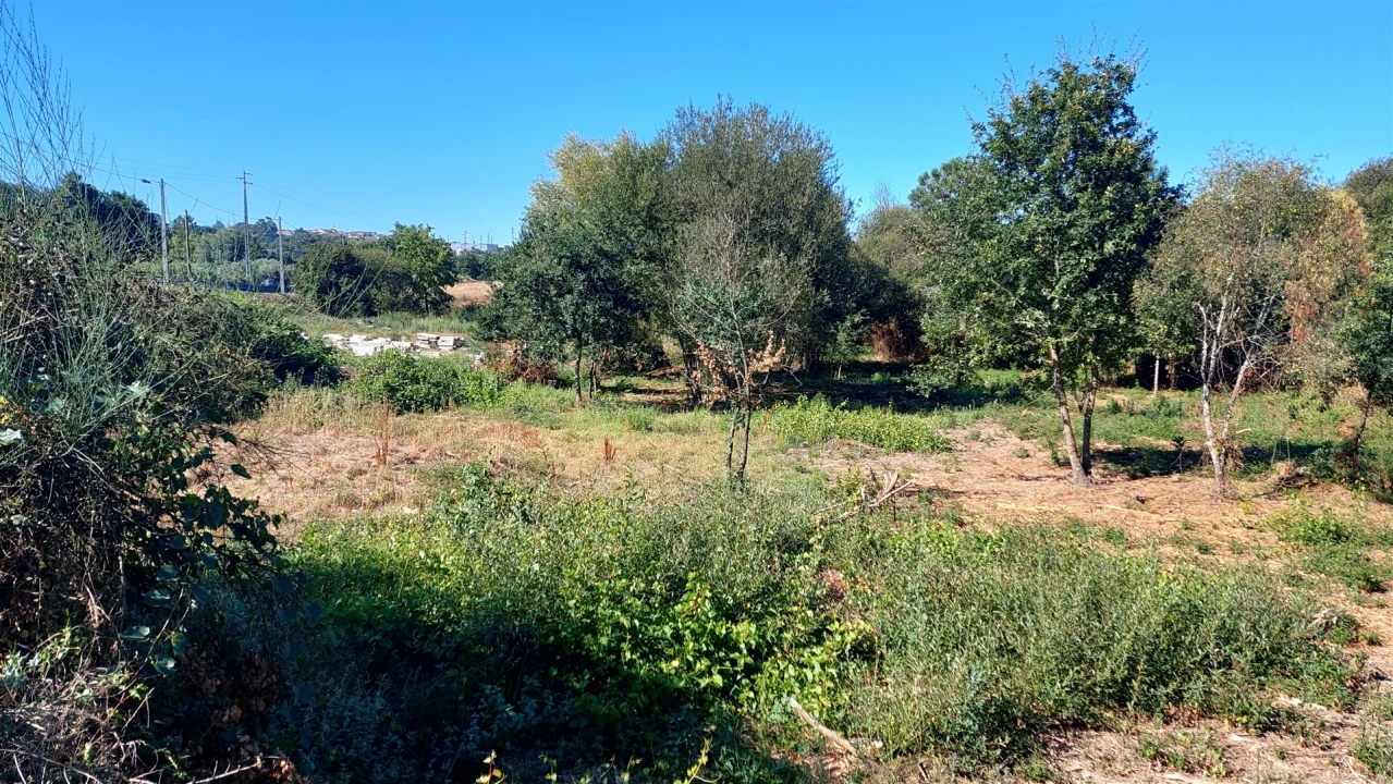 Terreno para Venda em Mangualde, Mesquitela e Cunha Alta Foto 12