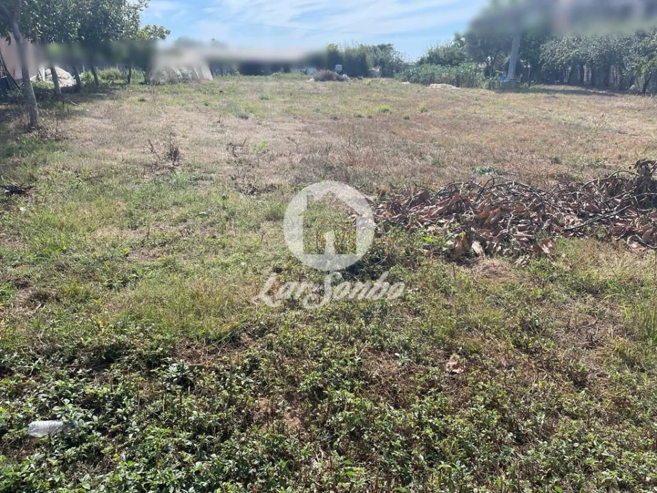 Terreno para Venda em Apúlia e Fão Foto 1