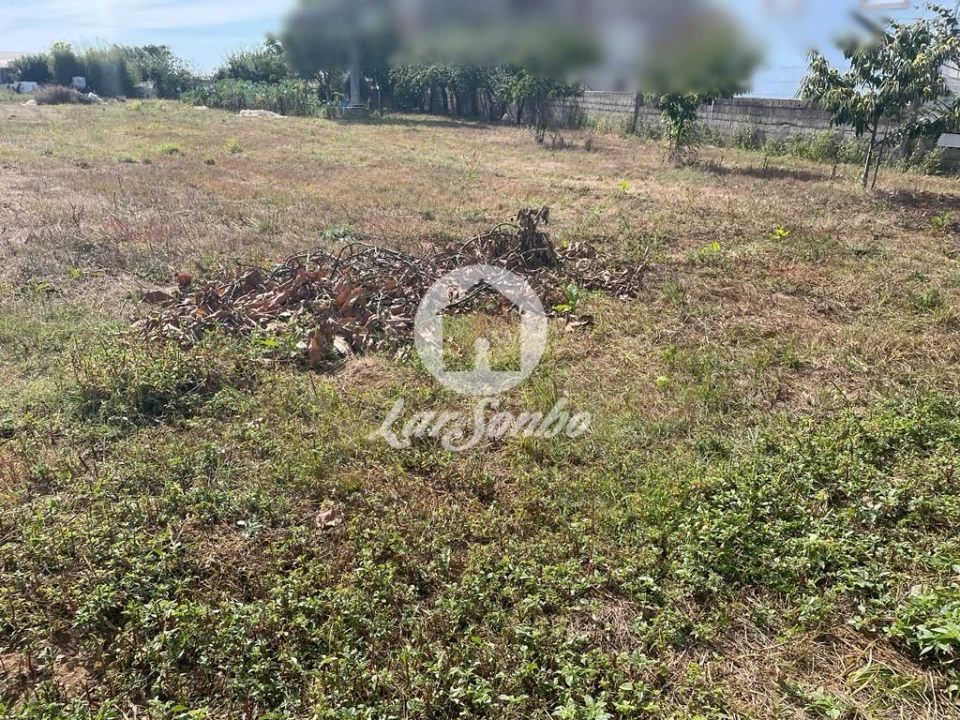 Terreno para Venda em Apúlia e Fão Foto 3