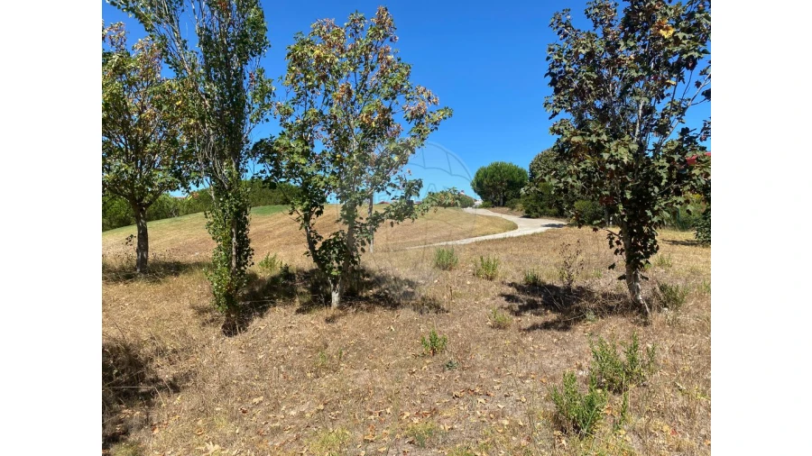 Terreno para Venda em Queluz e Belas Foto 3
