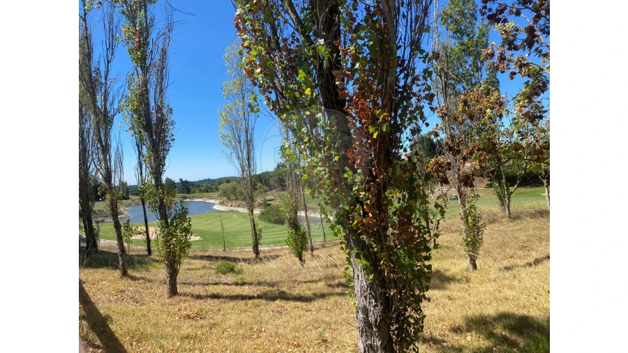 Terreno para Venda em Queluz e Belas Foto 5