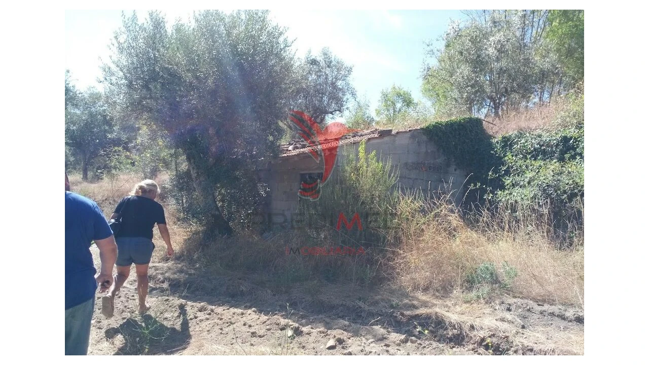 Terreno para Venda em Vila Cortes da Serra Foto 8