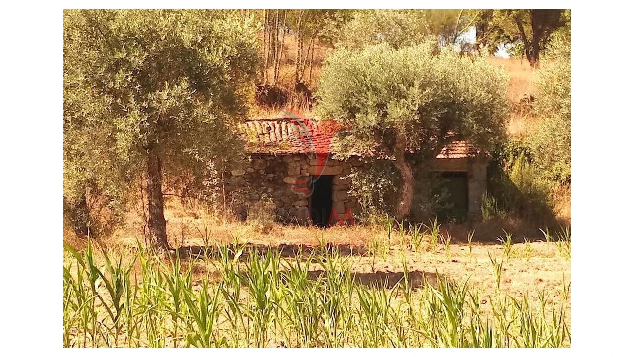 Terreno para Venda em Vila Cortes da Serra Foto 10