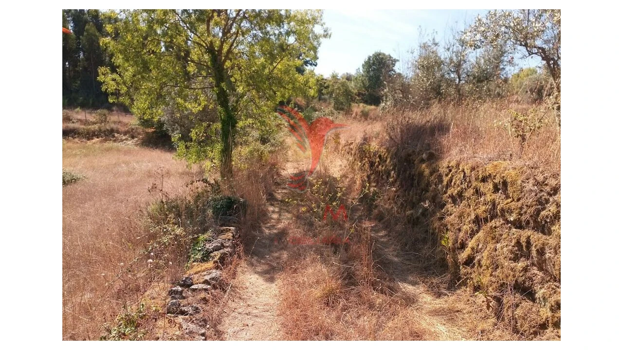 Terreno para Venda em Vila Cortes da Serra Foto 13