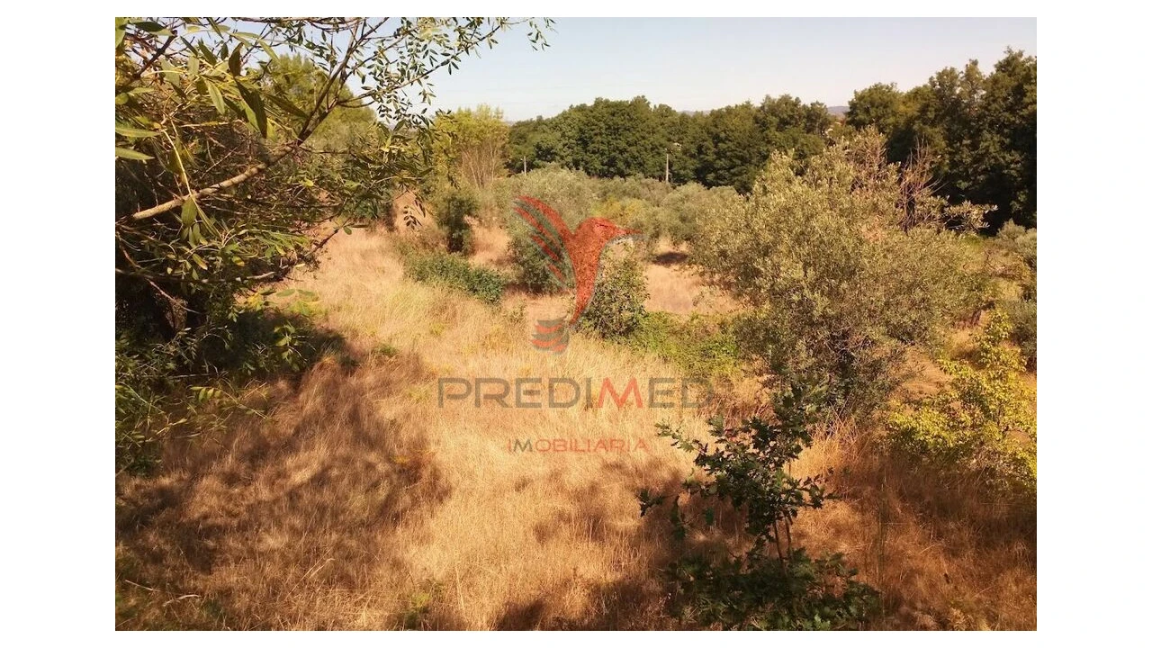 Terreno para Venda em Vila Cortes da Serra Foto 16