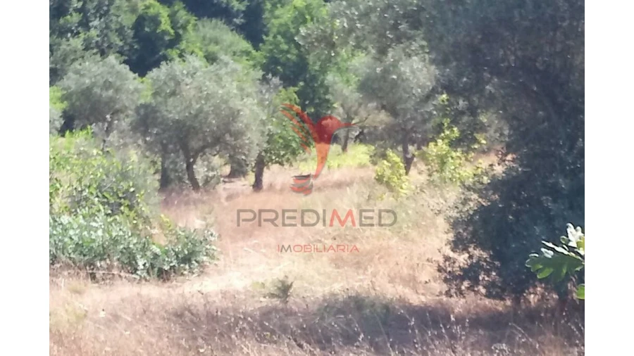 Terreno para Venda em Vila Cortes da Serra Foto 14