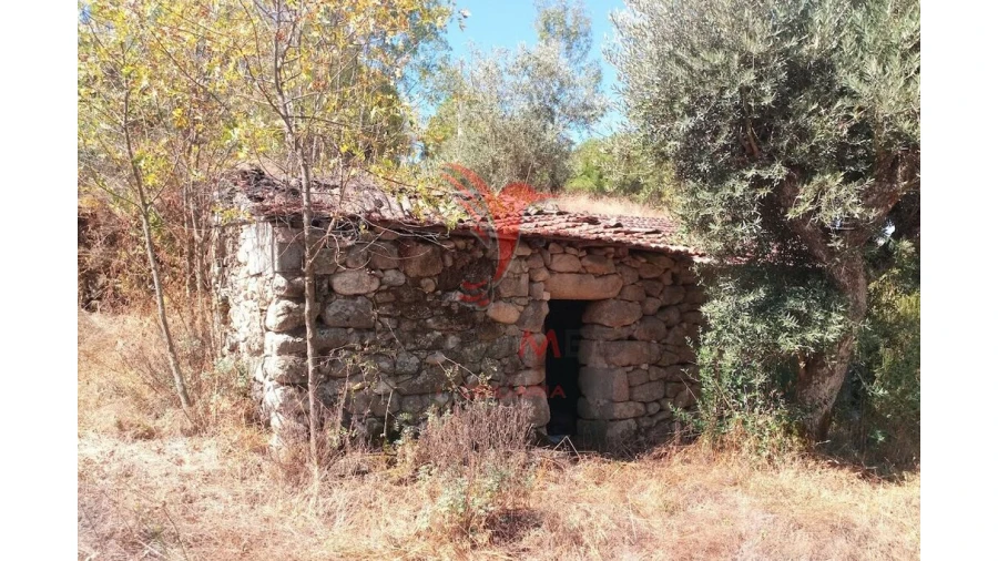 Terreno para Venda em Vila Cortes da Serra Foto 9