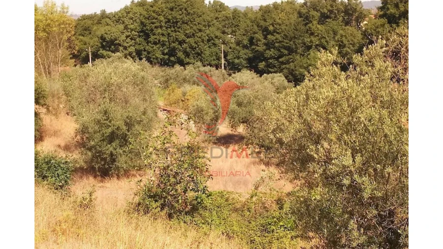 Terreno para Venda em Vila Cortes da Serra Foto 17