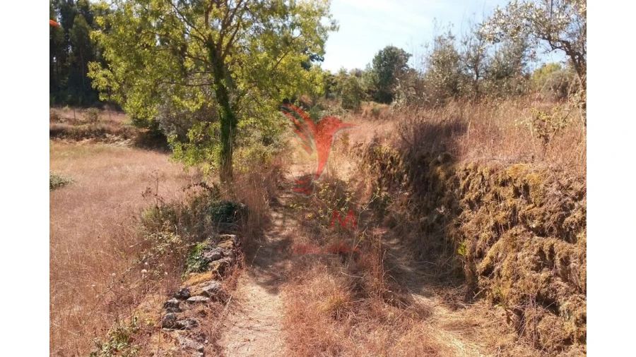 Terreno para Venda em Vila Cortes da Serra Foto 13