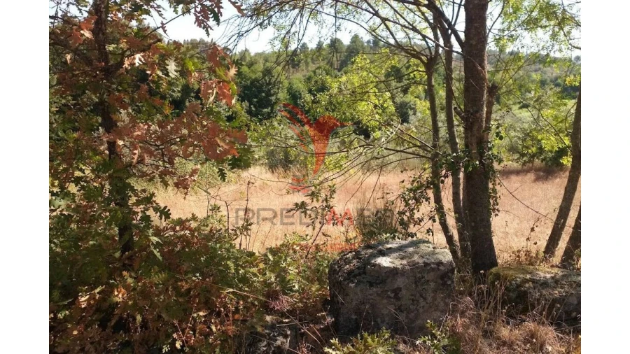 Terreno para Venda em Vila Cortes da Serra Foto 12